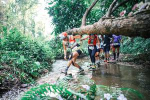 BIB: 
                            <button type="button" onclick="openModal(25457903)" class="btn btn-primary btn-sm float-right btn-popup" data-toggle="modal" data-target=".modal-high-quality">
                        <i class="fas fa-shopping-cart"></i> Add to Cart
                    </button>
                                            <button type="button" onclick="isThisMe(25457903, true)" class="btn btn-success btn-sm float-right btn-popup btn-isme hidden" data-toggle="tooltip" data-placement="bottom" title="นี่คือรูปของคุณใช่ไหม คลิกที่นี่เพื่อเอาเข้าอัลบั้ม">
                        <i class="fas fa-plus"></i> Add to album
                    </button>
                    <button type="button" onclick="isThisMe(25457903, false)" class="btn btn-warning btn-sm float-right btn-popup btn-isnotme hidden">
                        <i class="fas fa-ban"></i> Remove from album
                    </button>